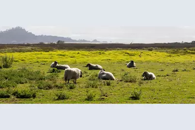 3017 Lasuen Dr, Carmel, CA 93923 - Photo 43