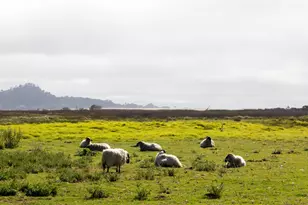 3017 Lasuen Dr, Carmel, CA 93923 - Photo 43