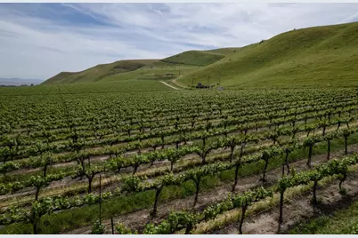 38156 Elm Ave, Greenfield, CA 93927 - Photo 15