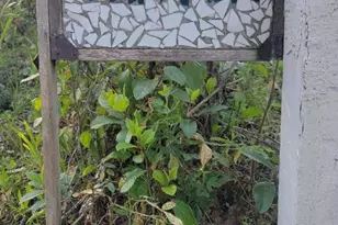 208 Canyon Dr, Portola Valley, CA 94028 - Photo 21