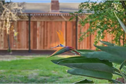 4733 Jarvis Ave, San Jose, CA 95118 - Photo 53