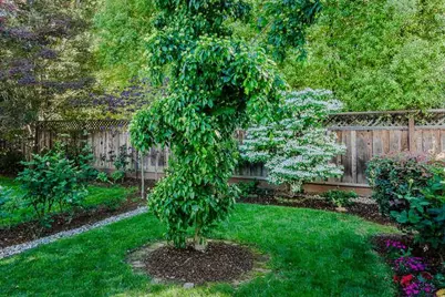 229 Aragon Blvd, San Mateo, CA 94402 - Photo 23