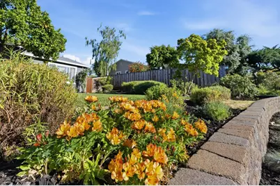 536 Coralie Dr, Walnut Creek, CA 94597 - Photo 3