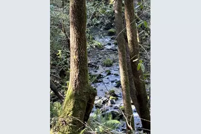 11930 Graton Rd, Sebastopol, CA 95472 - Photo 3