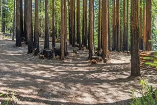 0 Band (Lot 15 &amp 18) Rd, Boulder Creek, CA 95006 - Photo 1