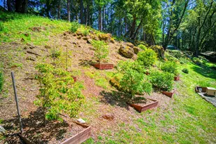 175 Westdale Dr, Santa Cruz, CA 95060 - Photo 37