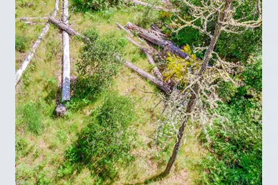 0 Zayante School, Felton, CA 95018 - Photo 5