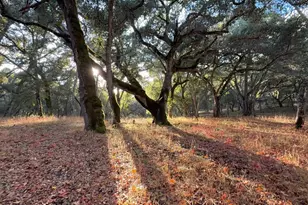 9 Garzas Trail Lot 49, Carmel, CA 93923 - Photo 1