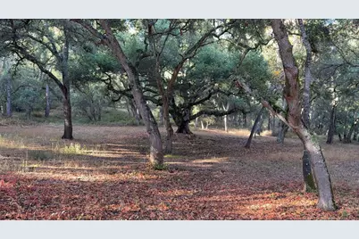 9 Garzas (Lot 49) Trl, Carmel, CA 93923 - Photo 3