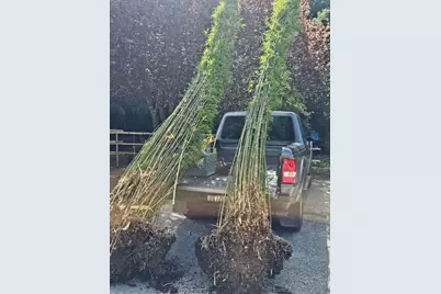 5601 Freedom Blvd, Aptos, CA 95003 - Photo 69