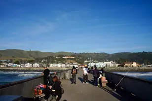85 Clarendon Rd, Pacifica, CA 94044 - Photo 75