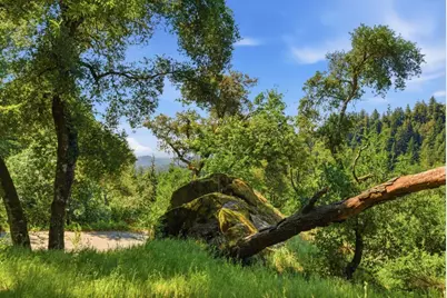 17515 Upper East Zayante Rd, Los Gatos, CA 95033 - Photo 47