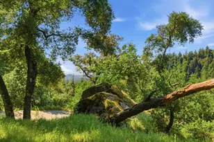 17515 Upper East Zayante Rd, Los Gatos, CA 95033 - Photo 47