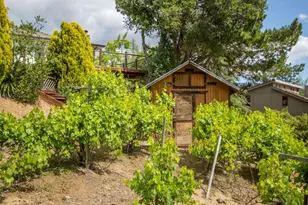 23059 Evergreen Ln, Los Gatos, CA 95033 - Photo 37