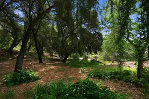 1460 Quail Hollow Rd, Ben Lomond, CA 95005 - Photo 45