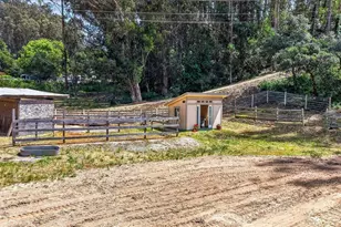 575 Snyder Ave, Aromas, CA 95004 - Photo 5