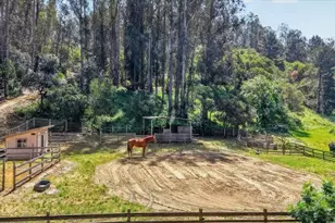 575 Snyder Ave, Aromas, CA 95004 - Photo 7