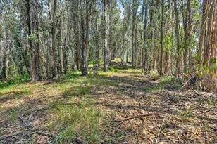 575 Snyder Ave, Aromas, CA 95004 - Photo 35