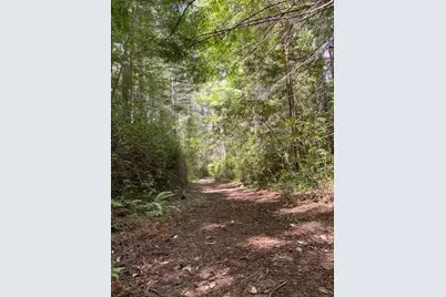 Address Not Disclosed, Piercy, CA 95587 - Photo 1