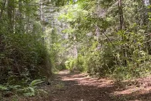 Address Not Disclosed, Piercy, CA 95587 - Photo 1