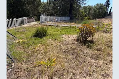 909 Hillcrest Dr, Redwood City, CA 94062 - Photo 5