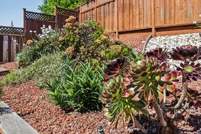 733 Temescal Way, Redwood City, CA 94062 - Photo 115