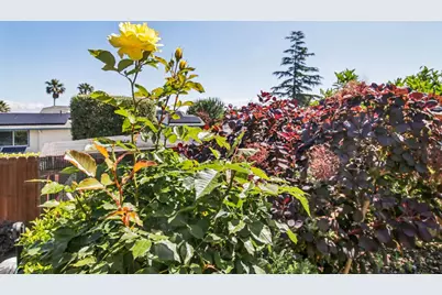 733 Temescal Way, Redwood City, CA 94062 - Photo 111