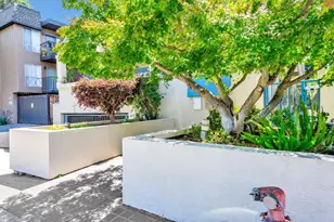 656 Cedar St 3, San Carlos, CA 94070 - Photo 3