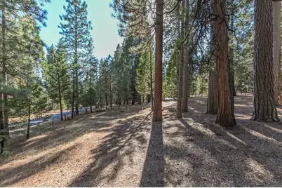20175 E Pine Dr, Pioneer, CA 95666 - Photo 61