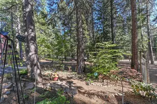 20175 E Pine Dr, Pioneer, CA 95666 - Photo 53