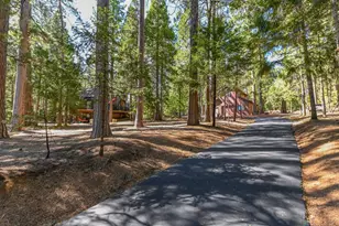 20175 E Pine Dr, Pioneer, CA 95666 - Photo 51