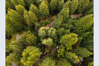 295 Jims Rd, Ben Lomond, CA 95005 - Photo 127