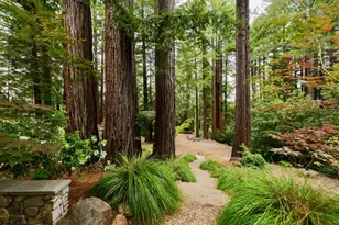295 Jim's Rd, Ben Lomond, CA 95005 - Photo 119