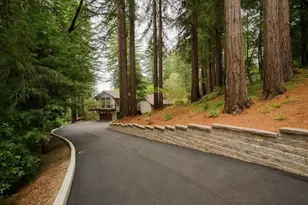 295 Jim's Rd, Ben Lomond, CA 95005 - Photo 127