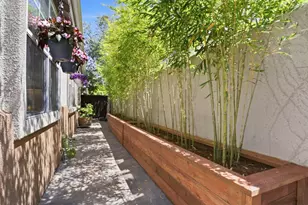 446 Tyndall St, Los Altos, CA 94022 - Photo 31