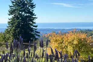 1061 Summit Rd, Watsonville, CA 95076 - Photo 13