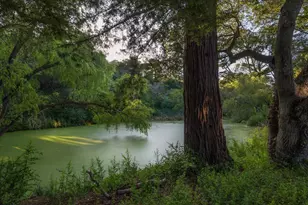 90 Hayfields Rd, Portola Valley, CA 94028 - Photo 59