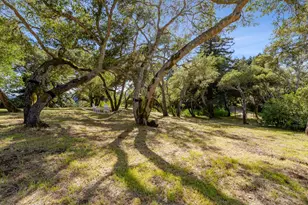 899 Calabasas Rd, Watsonville, CA 95076 - Photo 73