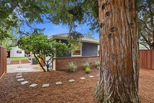 944 Malone Rd, San Jose, CA 95125 - Photo 39