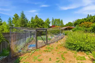 10340 W Loyola Dr, Los Altos Hills, CA 94024 - Photo 69