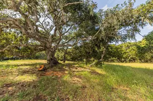 14190 Reservation Rd, Salinas, CA 93908 - Photo 27