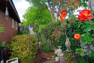 4061 Haines Ave, San Jose, CA 95136 - Photo 33