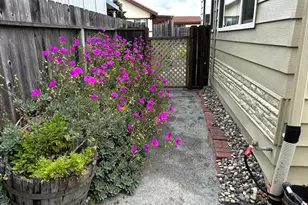 2435 Felt St 74, Santa Cruz, CA 95062 - Photo 5