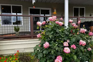 2435 Felt St 74, Santa Cruz, CA 95062 - Photo 3