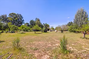 820 Maple Ave, San Martin, CA 95046 - Photo 43