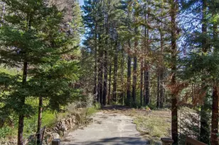 282 Hill Top Ct, Boulder Creek, CA 95006 - Photo 51