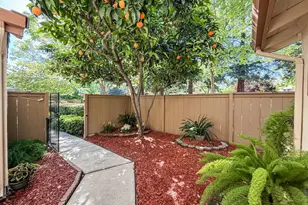 1241 Beaulieu Ct, San Jose, CA 95125 - Photo 1