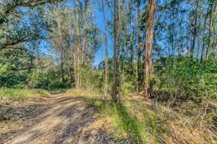 415 Carpenteria Rd, Aromas, CA 95004 - Photo 31