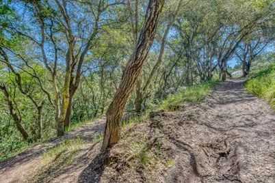 415 Carpenteria Rd, Aromas, CA 95004 - Photo 29