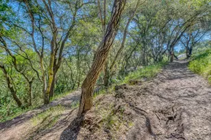 415 Carpenteria Rd, Aromas, CA 95004 - Photo 29